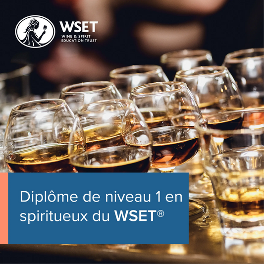 Formation WSET 1 en Spiritueux à Montpellier