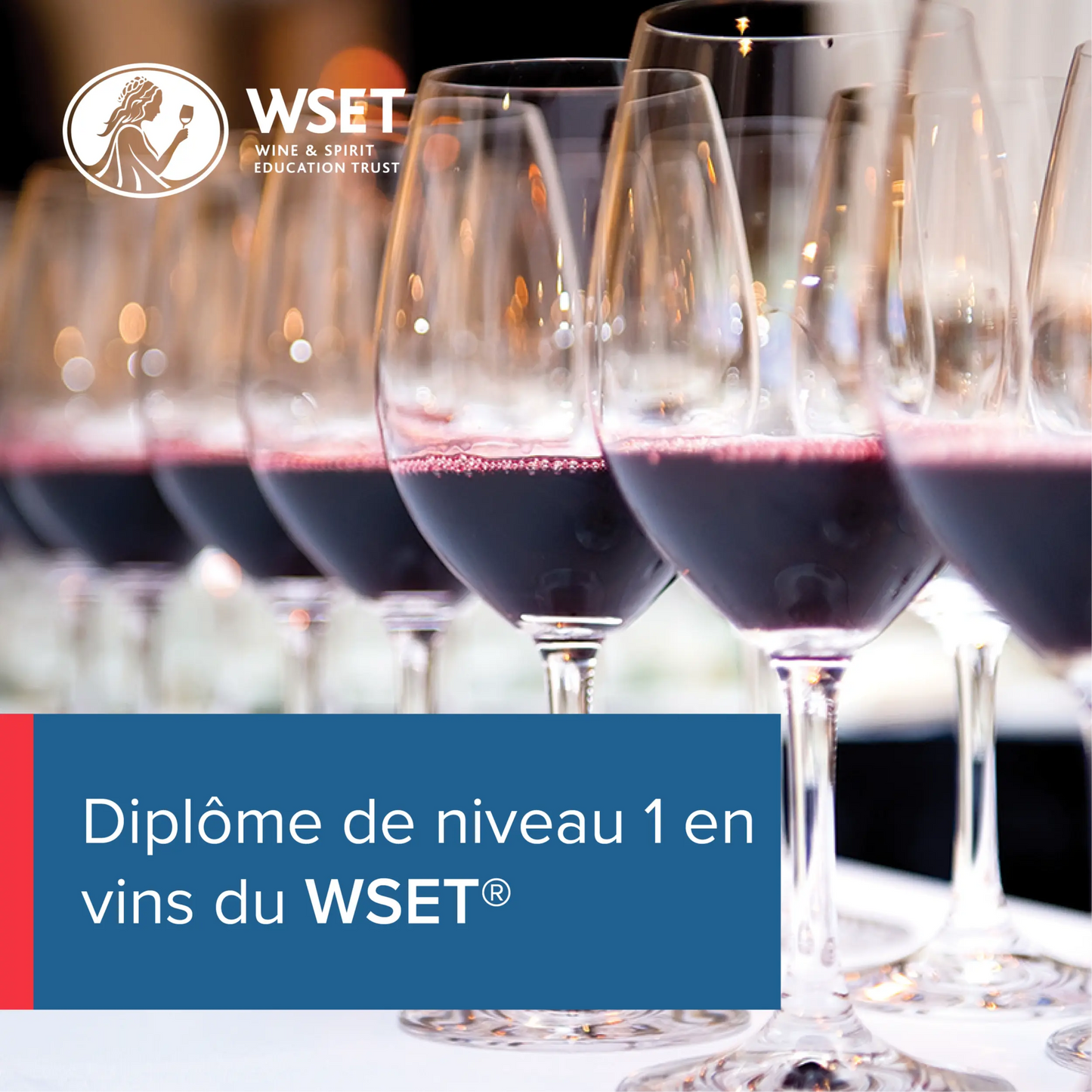 Formation WSET 1 en Vins à Montpellier