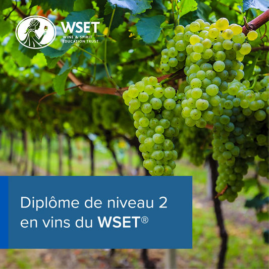 Formation WSET 2 en Vins à Montpellier