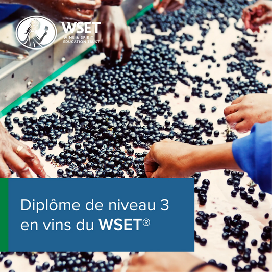 Formation WSET 3 en vins à Montpellier