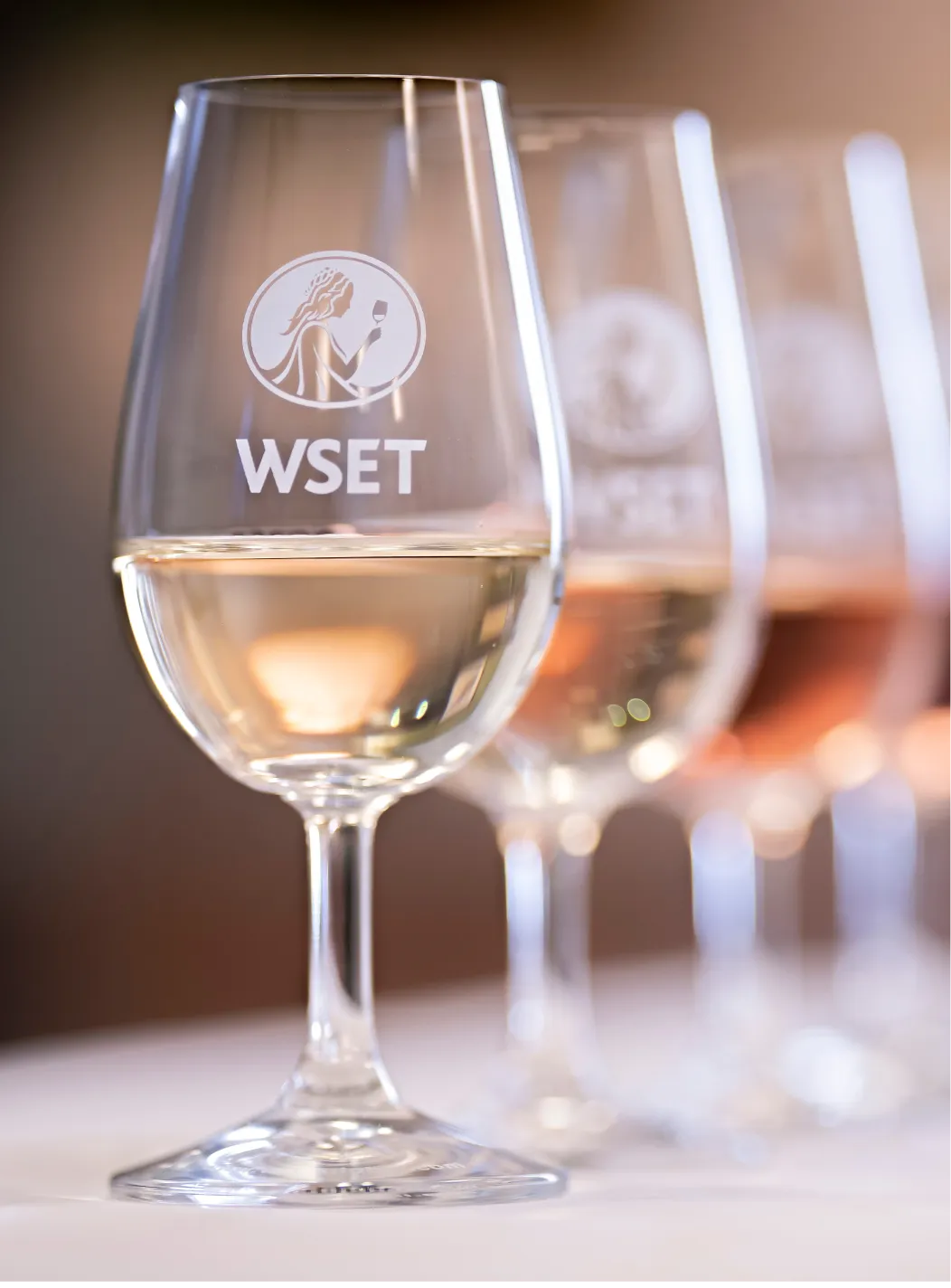 Formation WSET 1 en Vins à Montpellier