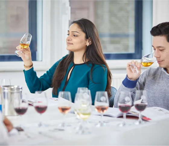 Formation WSET 1 en Vins à Montpellier